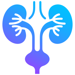 أدوية الجهاز البولي